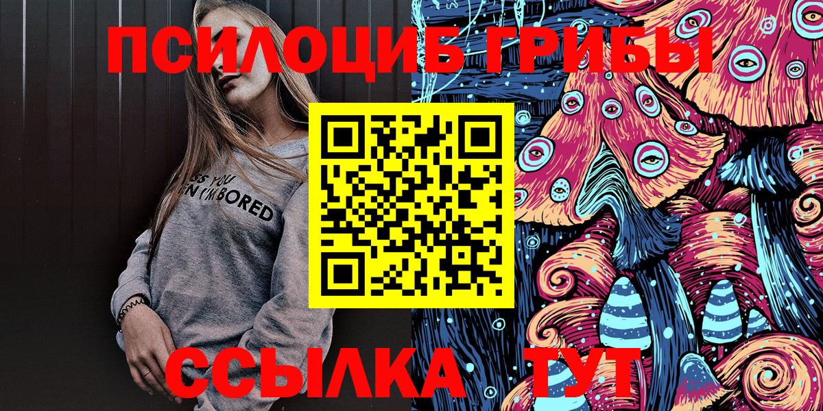 Галлюциногенные грибы Psilocybe Черногорск